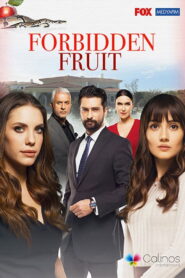 Forbidden Fruit: Season 5